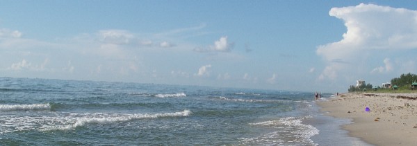 beach-fl.jpg 600211 28K