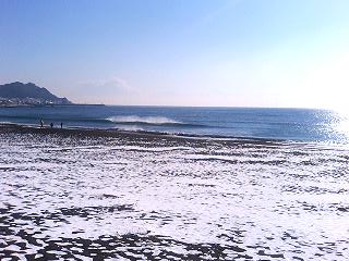 P1000003.JPG 320240 19K